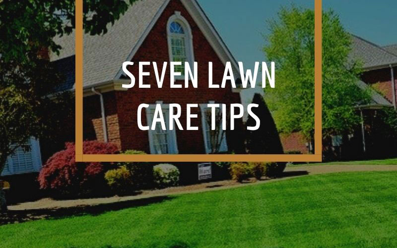 Seven lawn care tips